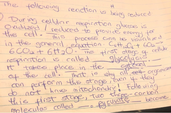 following . reaction is being reduced respiration glucose is to provide energy for can be visualize The During cellulair Oxid