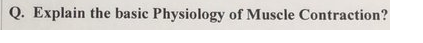 Q. Explain the basic Physiology of Muscle Contraction?