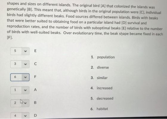shapes and sizes on different islands. The original bird [A] that colonized the islands was genetically [B]. This meant that, although birds in the original population were [C], individual birds had slightly different beaks. Food sources differed between islands. Birds with beaks that were better suited to obtaining food on a particular island had ID] survival and reproduction rates, and the number of birds with suboptimal beaks [E] relative to the number of birds with well-suited beaks. Over evolutionary time, the beak shape became fixed in each 1. population 2. diverse 3. similar 4. increased 5. decreased 6. habitat 3 6