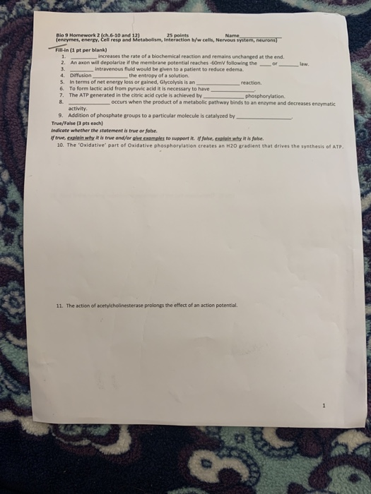 Blo 9 Homework 2 ch.6-10 and 12) 25 points enzymes, energy. Cell resp and Metabolism, Interaction b/w cells, Nervous system,