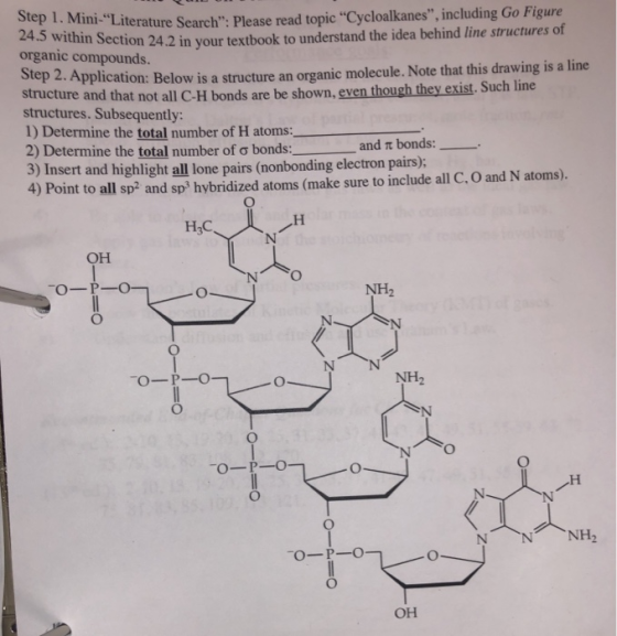 Mini-Literature Search: Please read topic Cycloalkanes, including Go Figure 24.5 within Section 24.2 in your textbook to