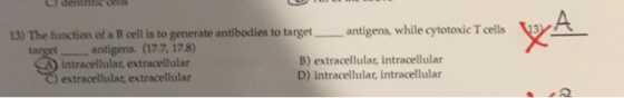 13 antigens, while cytotoxic T cells 13) The function of a B cell is to generate antibodies to target antigens. (17.7, 178) i