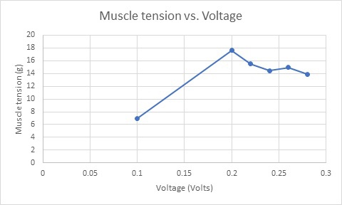 Muscle tension vs. Voltage Muscle tension (g) 0.05 0.1 0.2 0.25 0.3 0.15 Voltage (Volts)