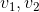 v_1, v_2