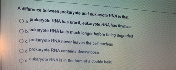 A difference between prokaryote and eukaryote RNA is that: prokaryote RNA has uracil, eukaryote RNA has thymine ob eukaryote