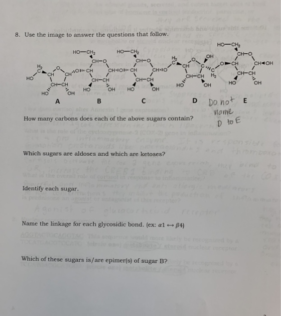 8. Use the image to answer the questions that follow HO-CH HO-CH2 HO-CH2 CHO H₂o OH CHO CHO OCH CHOICH CH-OH CHCc CHOICH CH 1