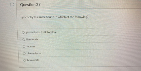 Question 27 Sporophylls can be found in which of the following? O pterophytes (psilotopsida) Oliverworts O mosses O charophyt