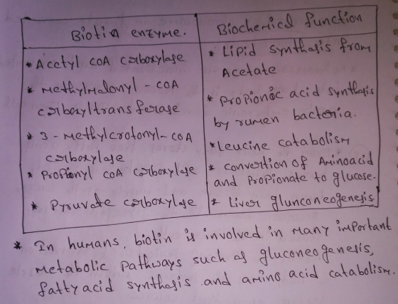 Bioti a en Acelate * pro Pionc acid Syneati by sumen bactania *teu cine cata boGSM and Prop onate to glucote a hurans, biolininvolved in tany iPor tant metabolic Pathways such al gliceneogenetis, Fally acid syati and arind acidl calabaltsa,