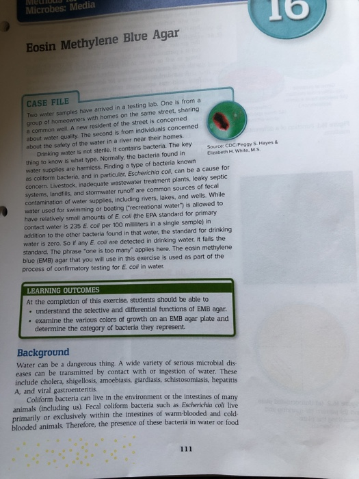 VLULU Microbes: Media 1b Eosin Methylene Blue Agar CASE FILE Two water samples have arrived in a testing lab. One is from a g