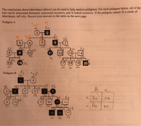The conclusions about inheritance (above) can be used to help analyze pedigrees. For each pedigree below, tell if the trait c