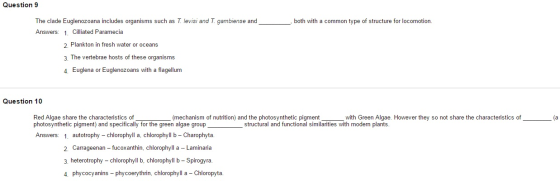 The clade Euglenozoana includes organisms such as
