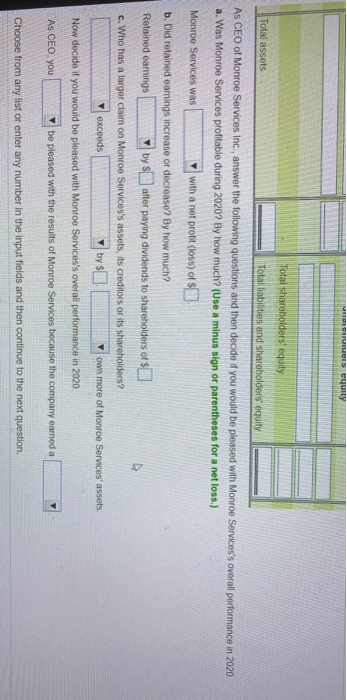 HVIS Equity Total shareholders equity Total assets Total liabilities and shareholders equity performance in 2020 As CEO of