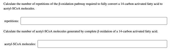 Calculate the number of repetitions of the B-oxidation pathway required to fully convert a 14-carbon activated fatty acid to