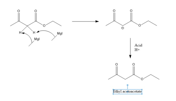 H, H. Acid H+ Ethyl acetoacetate