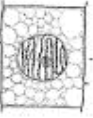 media%2F859%2F85955c46-8b57-4d99-a325-db