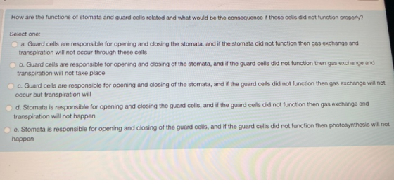 How are the functions of stomata and guard cells related and what would be the consequence if those cells did not function pr