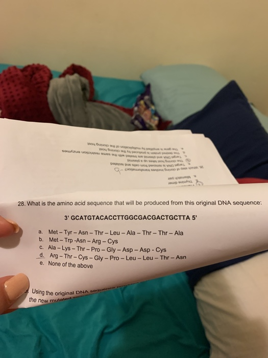 28. What is the amino acid sequence that will be produced from this original DNA sequence: 3 GCATGTACACCTTGGCGACGACTGCTTA 5