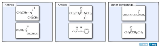 Amines Amides Other compounds CH3CH2-N CH CH CH2CH COCH CH3CH2 он CH3CCH2CH3 CH,CH CH reset ? help
