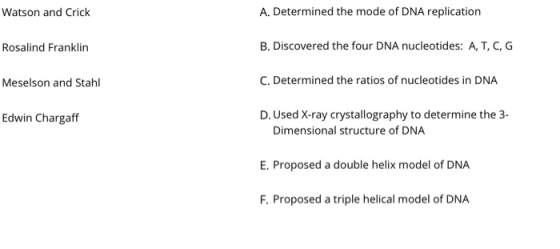Watson and Crick A. Determined the mode of DNA replication Rosalind Franklin B. Discovered the four DNA nucleotides: A, T, C,