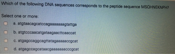 Which of the following DNA sequences corresponds to the peptide sequence MSQHNEKNPH Select one or more: a. atgtaacagcatccagaaaaaaagtattga O b. atgtcccaacatgataagaacttcaaccat □ catgagccaggcagttatagaaaaaccgcat datgagccagcataacgaaaaaaacccgcat