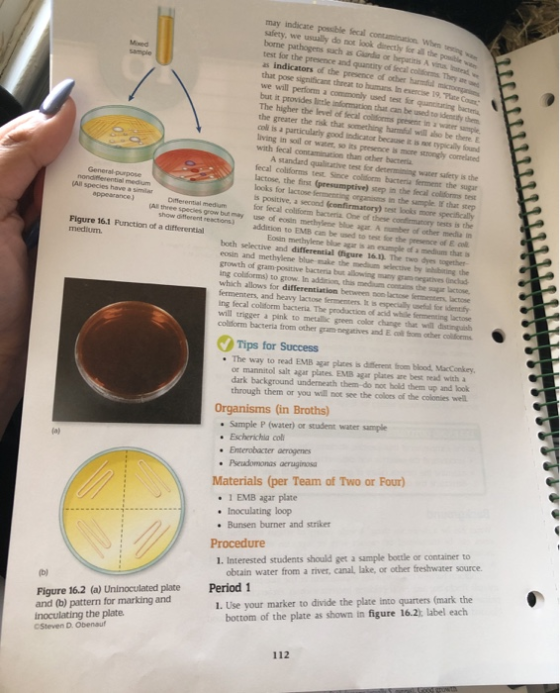 may indicate possible fecal contamination. When safety, we usually do not look diety for all the borne pathogens such as Gord