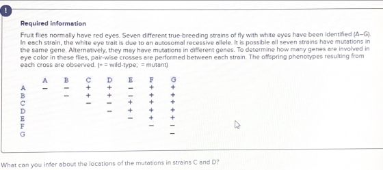 Required information Fruit flies normally have red eyes. Seven different true-breeding strains of fly with white eyes have be
