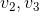 v_2, v_3