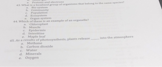 e Protons and electrons at is a localized group of organisms that belong to the same species? 43. Wh a. Bio system b. Community c. Population d. Ecosystem e. Organ system 44. Which of these is an example of an organelle? a. Chloroplast c. Epidermis e. Maple leaf b. Muscle d. Intesttine 45. As a results of photosynthesis, plants release into the atmosphere a. Methane b. Carbon dioxide c. Water d. Minerals e. Oxygen