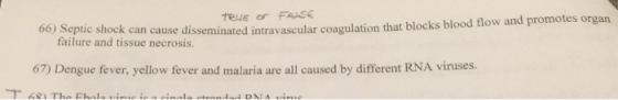 TRuEFASE intravascul 66) Septic shock can cause failure and tissue necrosis. and tis sueeure disseminated intravascular coagu