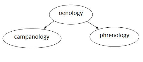 oenology campanology phrenology