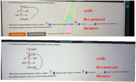 A Fischer projection of a monosaccharide is shown below: ÇHOL- H 2 OH cyclic 3 HO -H 4 CH OH 4 When this monosaccharide eyel