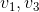 v_1, v_3