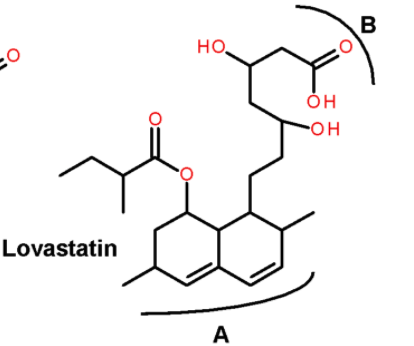 HO Lovastatin