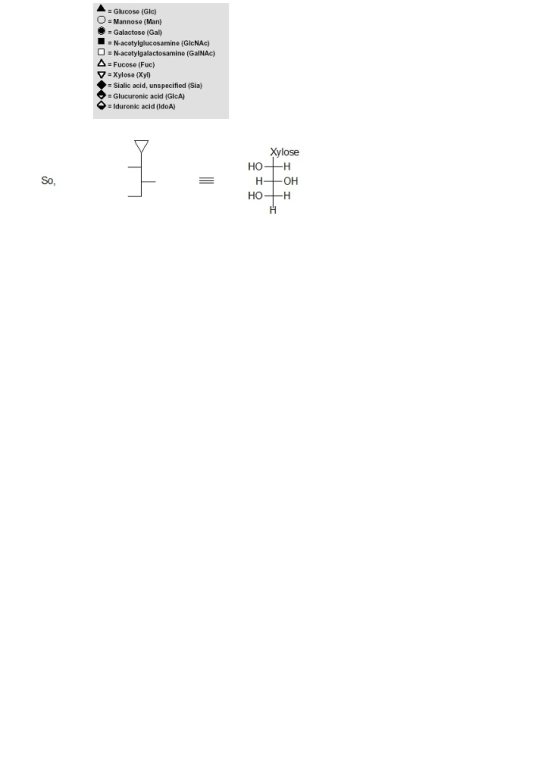 AGlucose (GIc) O- Mannose (Man) Galactose (Gal) N-acotylglucosamine (GIcNAc) N-acotylgalactosamine (GalNAc) Δ = Fucose (Fuc)