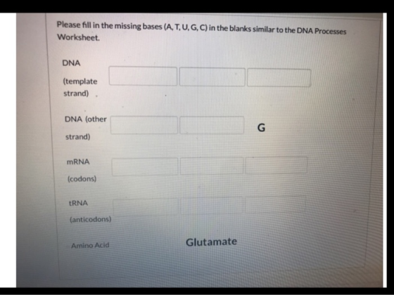 Please fill in the missing bases (A, T, U, G, C) in the blanks similar to the DNA Processes Worksheet DNA (template strand) D