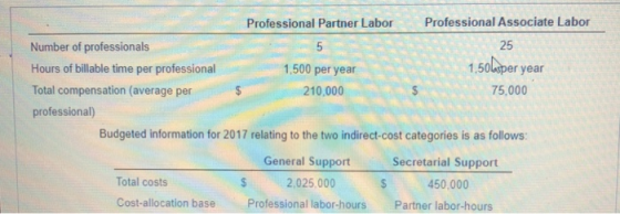 Professional Partner Labor Professional Associate Labor Number of professionals 5 25 Hours of billable time per professional