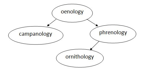 oenology campanology phrenology ornithology