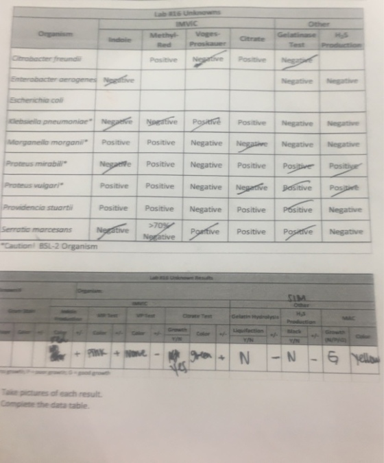 media%2F495%2F495de5d4-2676-4d6b-aa3a-92