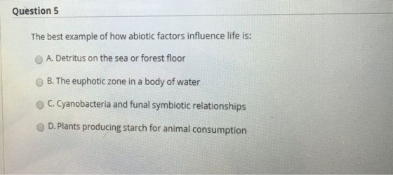 Question 5 The best example of how abiotic factors influence life is: O A. Detritus on the sea or forest floor O B. The eupho