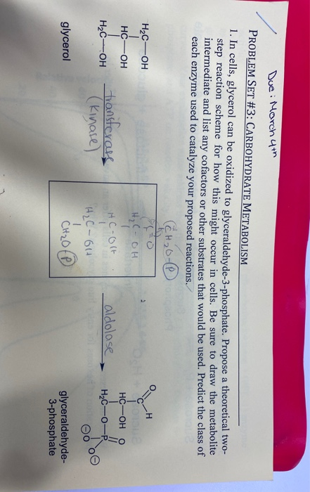 - Due: March 4th PROBLEM SET #3: CARBOHYDRATE METABOLISM 1. In cells, glycerol can be oxidized to glyceraldehyde-3-phosphate.