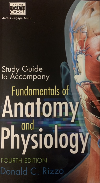 CENGAGE HEALTH CARE Access. Engage. Learn. Study Guide to Accompany Fundamentals of Anatomy Physiology FOURTH EDITION Donald