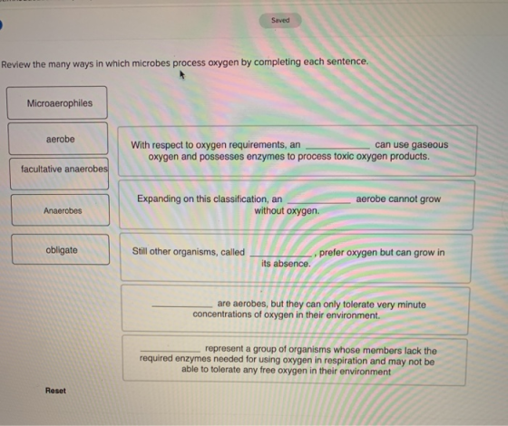 Saved Review the many ways in which microbes process oxygen by completing each sentence. Microaerophiles aerobe With respect