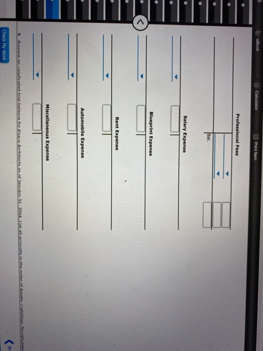 0 eBook Calculator Print Item Professional Fees Bal. Salary Expense Blueprint Expense Rent Expense Automobile Expense Miscell