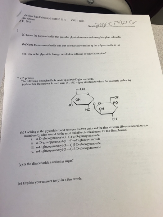 Name the polysaccharide that provides physical str