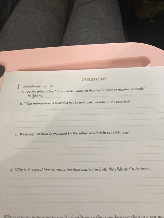 QUESTIONS Consider the controls. a. Are the uninoculated tube and the saline on the slide positive or negative controls? egat
