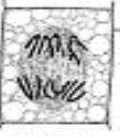 media%2F712%2F712706e0-eb21-45c1-aeb4-84