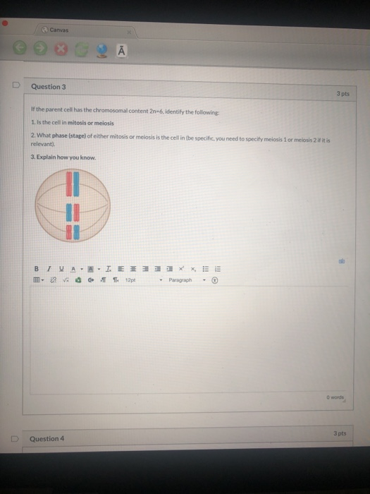 Canvas А Question 3 3 pts If the parent cell has the chromosomal content 2n-6, identify the following: 1. Is the cell in mito