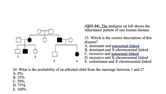 (Q23-24) The pedigree on left shows the inheritance pattern of one human disease. • O HO 23. Which is the correct description