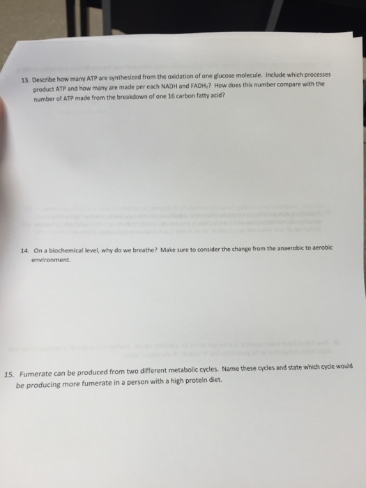 Describe how many ATP are synthesized from the oxi