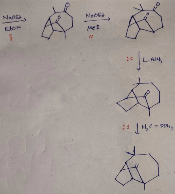 NaoEA NaoEt EtoH MeI 10 Li AIH HCE Ph 11 CP